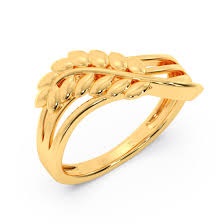Golg category